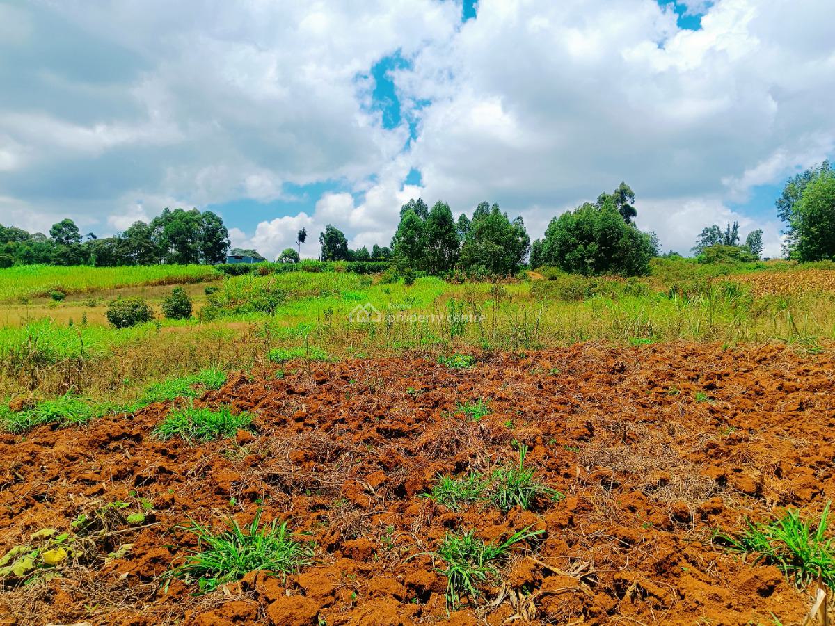 Prime 1/8th --acre Plots Available on Offer in Kikuyu!, Jambu Tv, Gikambura, Kikuyu, Kiambu, Residential Land for Sale
