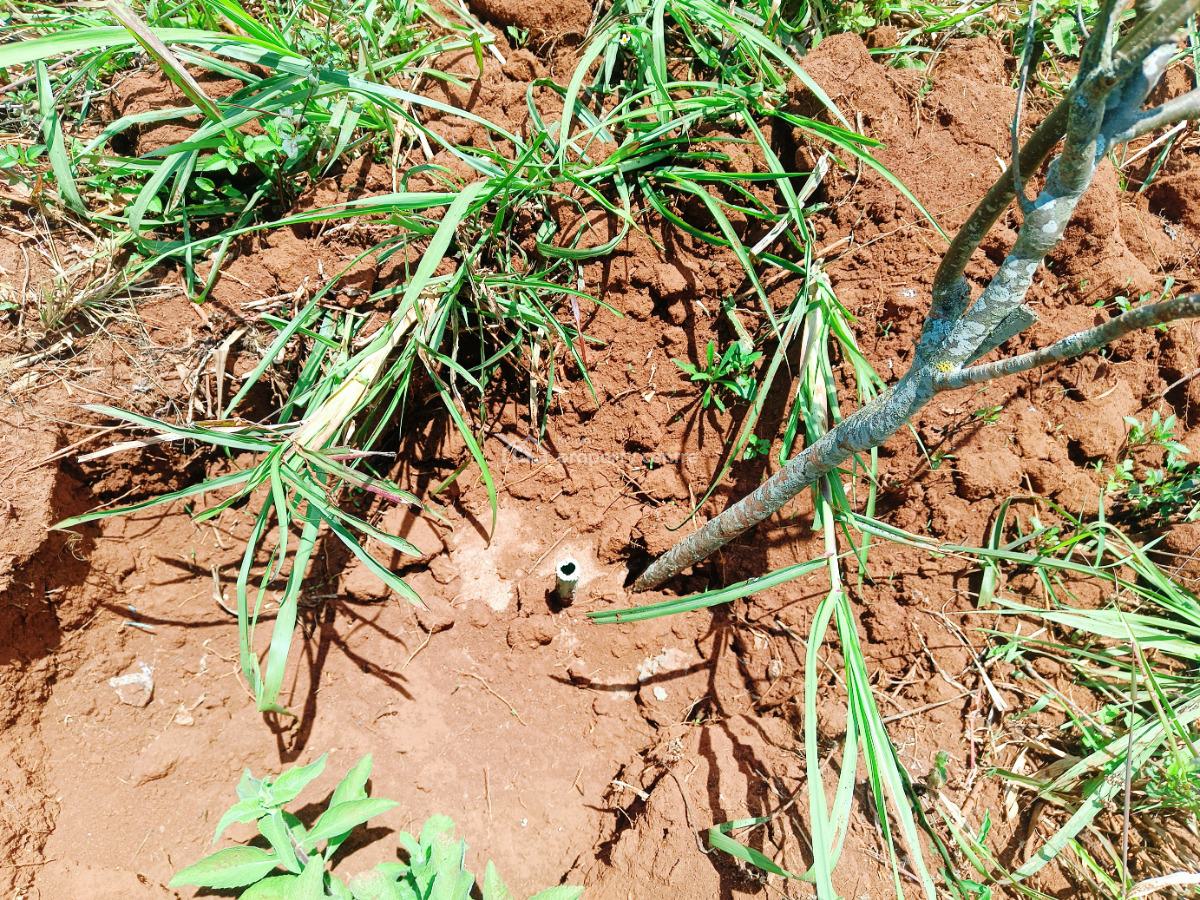 Prime 1/8th --acre Plots Available on Offer in Kikuyu!, Jambu Tv, Gikambura, Kikuyu, Kiambu, Residential Land for Sale