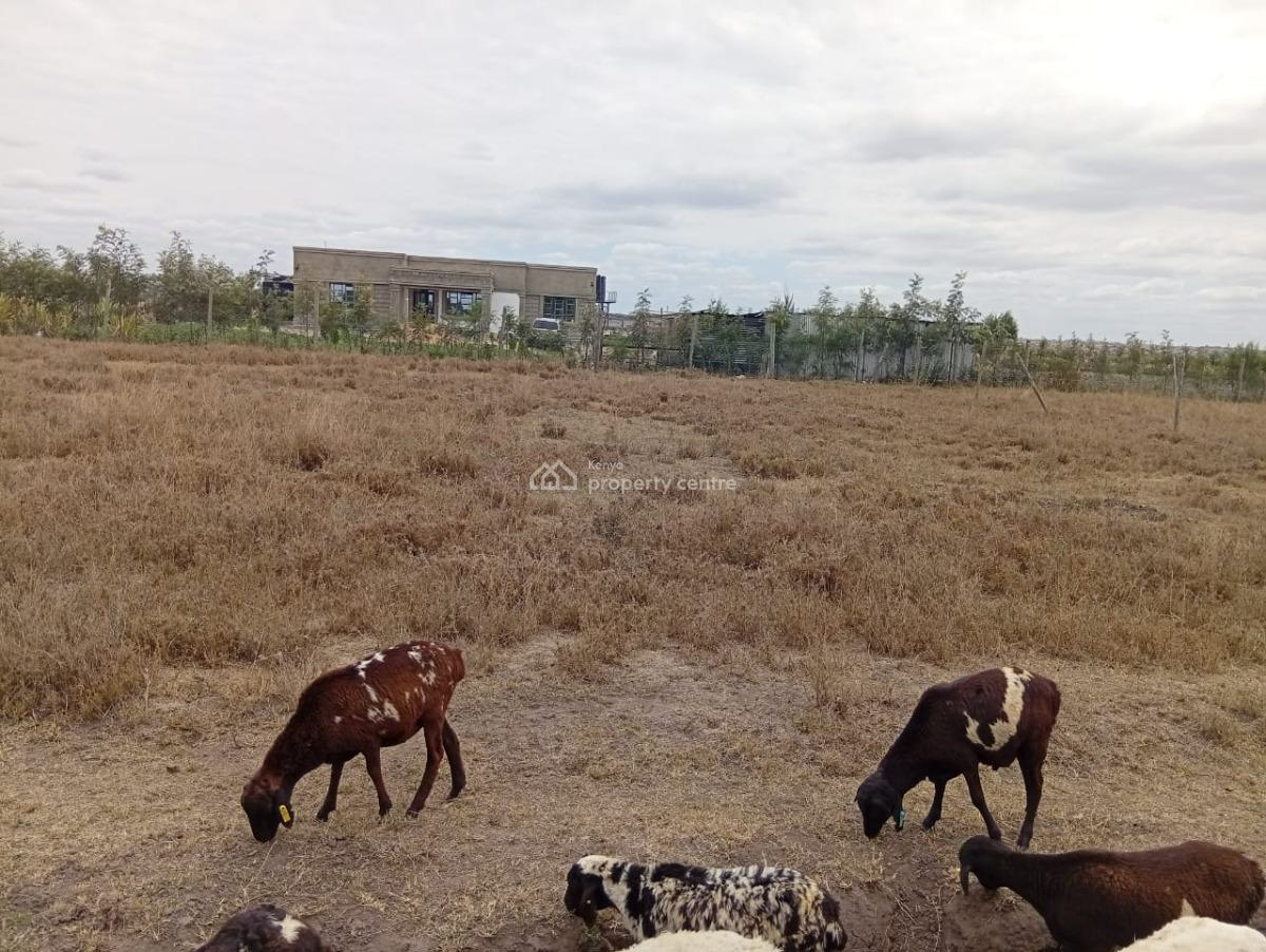 1/4 Acre for  in Kisaju, Kisaju, Kitengela, Kajiado, Land for Sale