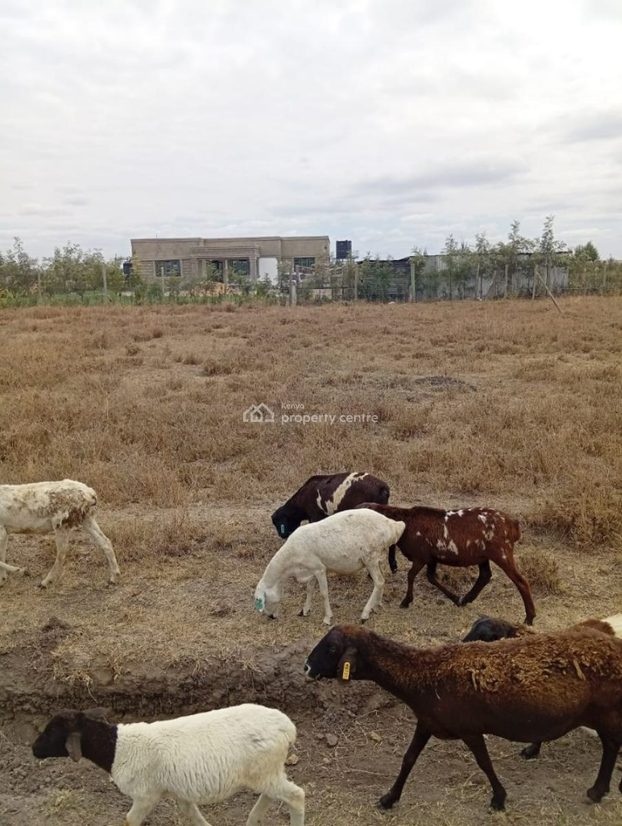1/4 Acre for  in Kisaju, Kisaju, Kitengela, Kajiado, Land for Sale