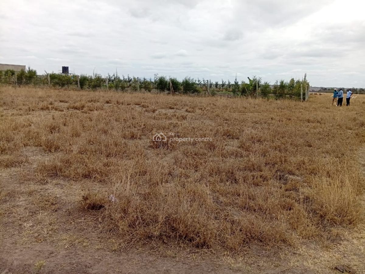 1/4 Acre for  in Kisaju, Kisaju, Kitengela, Kajiado, Land for Sale