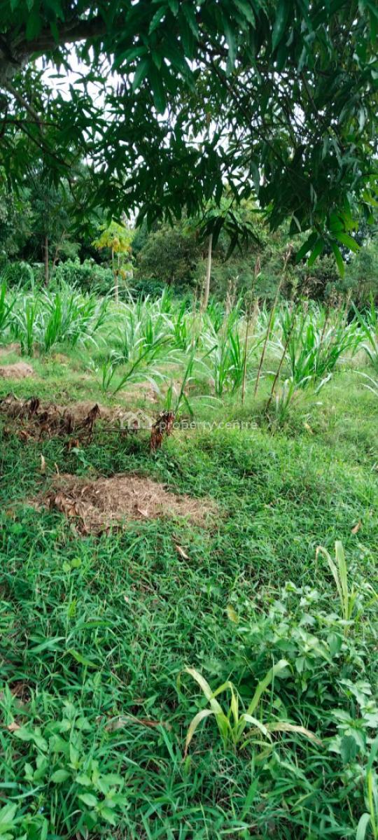 11 Acres Mavueni -- Riverfront Land- Kes 66m Powerwatertarmac Access, Mavueni, Mtwapa, Kilifi, Land for Sale