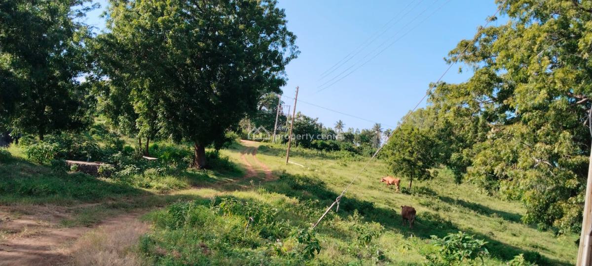 11 Acres Mavueni -- Riverfront Land- Kes 66m Powerwatertarmac Access, Mavueni, Mtwapa, Kilifi, Land for Sale