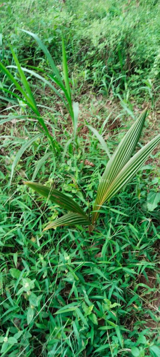 11 Acres Mavueni -- Riverfront Land- Kes 66m Powerwatertarmac Access, Mavueni, Mtwapa, Kilifi, Land for Sale