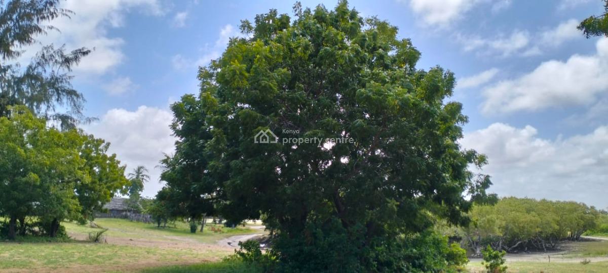 Quarter-acre Freehold Plot in Watamu -- Behind Snake Park  Kes 8m, Behind Snake Park, Watamu, Kilifi, Land for Sale