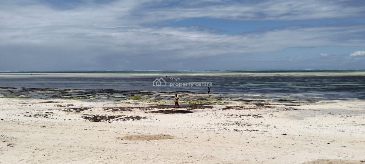 Prime 4-acre Cliff-side Property in Watamu -- Malaika Beach, Malaika Beach, Watamu, Kilifi, Land for Sale