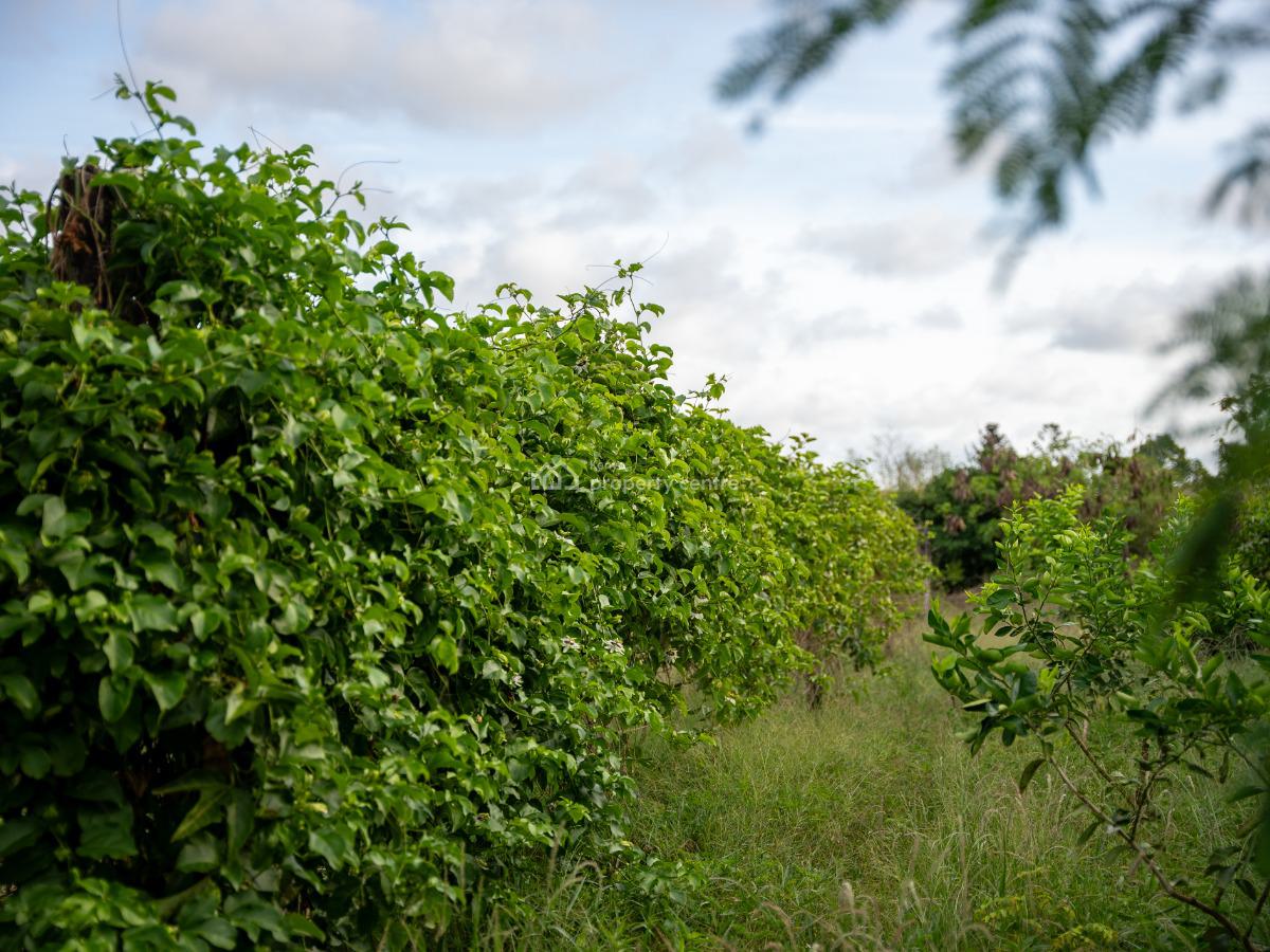 Prime 10.3-acre Fruit Farm & Hospitality Property in Malindi, Arubuko, Kakuyuni, Malindi Town, Kilifi, Land for Sale
