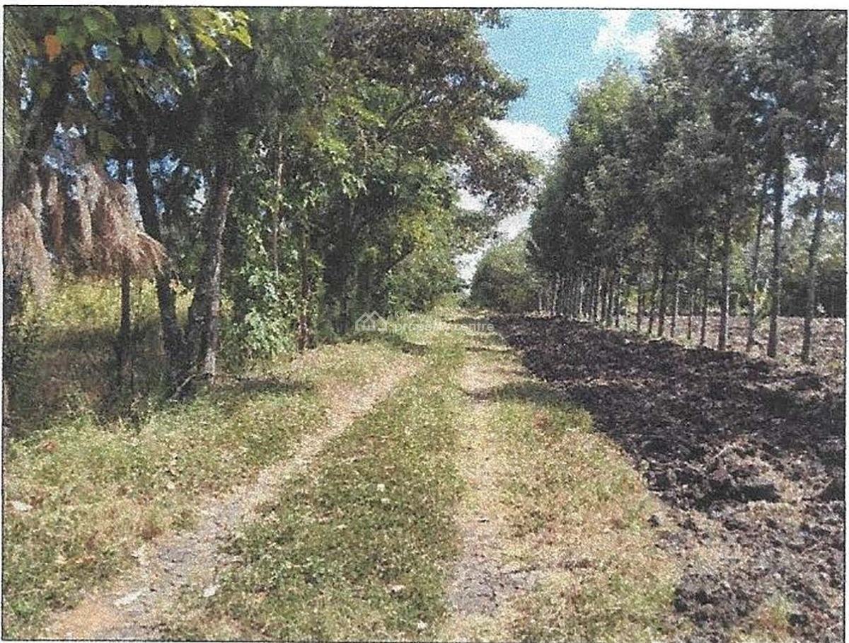 Land, Ongata Rongai, Kajiado, Mixed-use Land for Sale