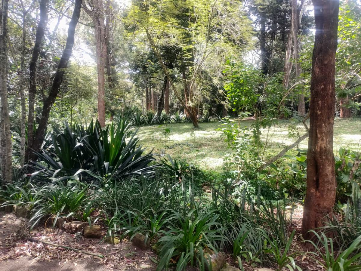 1-acre Plot for Development, Mwitu Estate, Karen, Nairobi, Residential Land for Sale