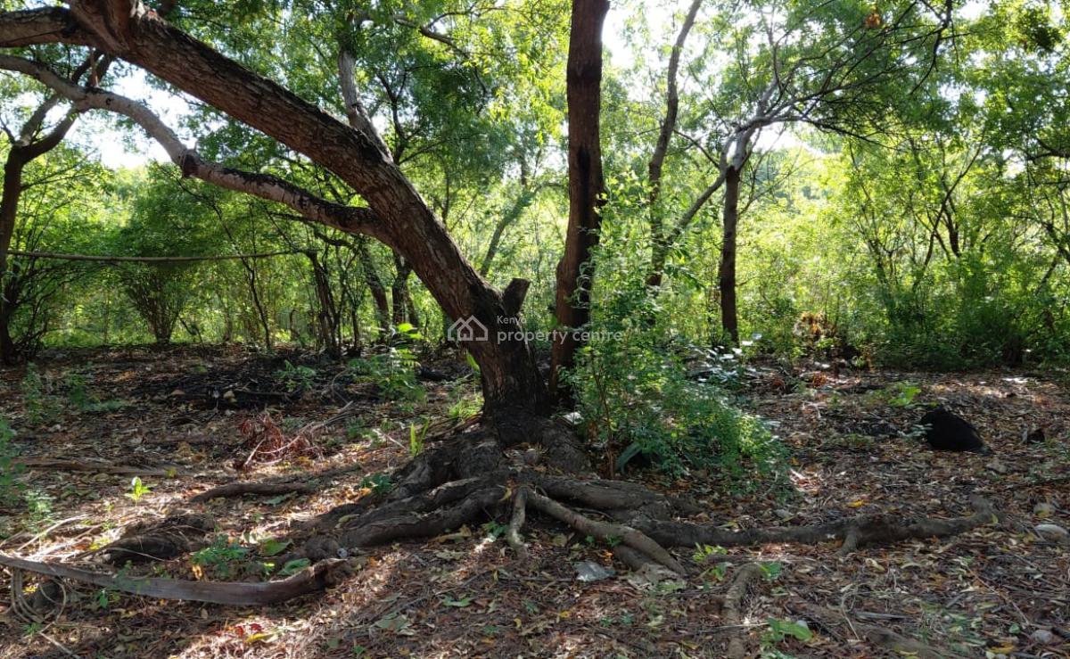 Luxury 1.25-acre Plot for Watamu,offered at Kes 15,000,000, Off Turtle Bay Road and Next to 2livu Villas., Watamu, Kilifi, Land for Sale