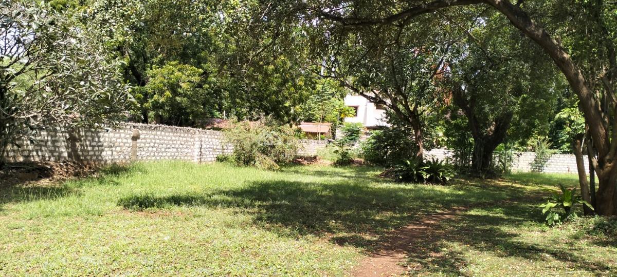 Prime 0.8 Acre Plot for in Malindi  2nd Row From The Beach  Lamu Rd, Ngowe/lamu Rd, Malindi Town, Kilifi, Land for Sale