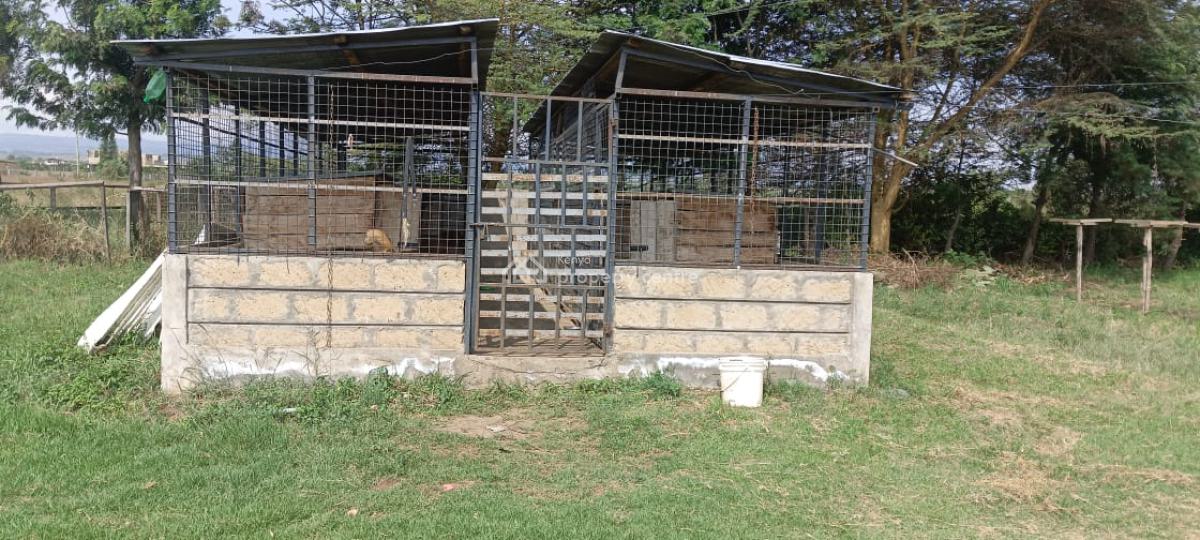 4  Bedroom All Ensuite House Naivasha Moi South Lake, Moi Southlake Rd Naivasha, Naivasha East, Nakuru, Townhouse for Sale