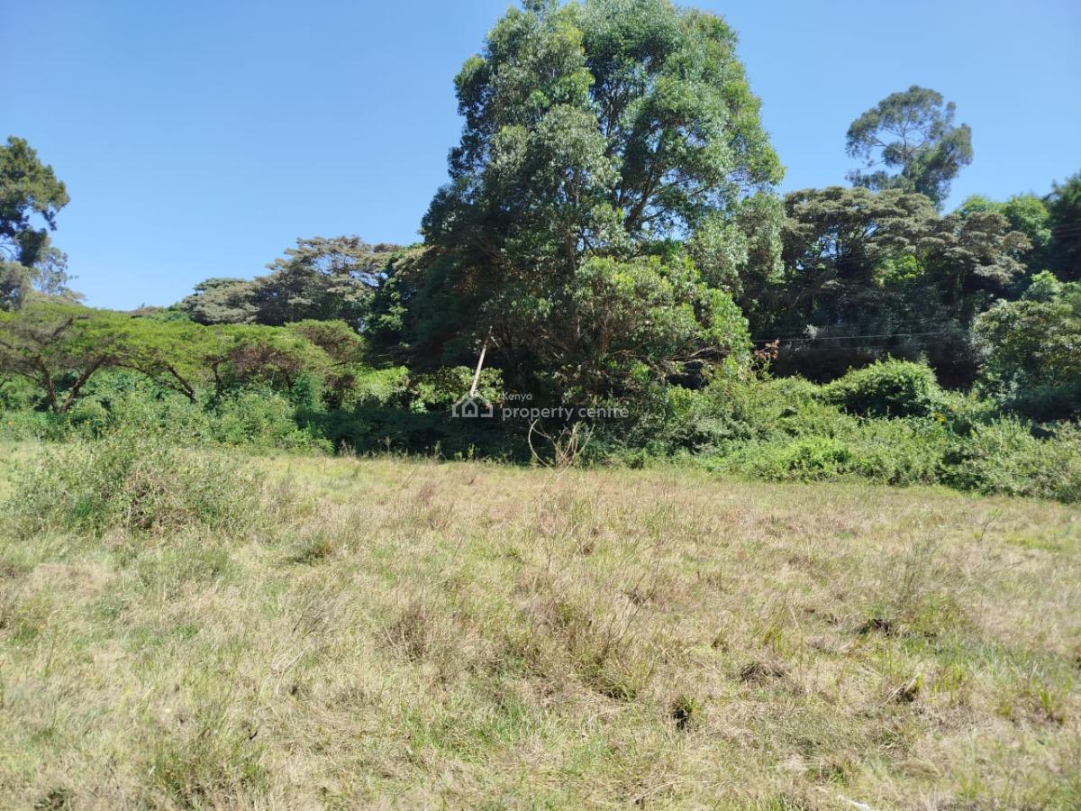 Prime 5 Acres with Ready Documentation, Touching Dagoretti Road, Karen, Nairobi, Land for Sale