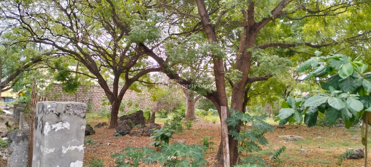 Half Acre Land on Turtle Bay Road, Watamu -- Opposite Blue Moon Mall, Turtle Bay Rd, Opposite Blue Moon Mall, Watamu, Kilifi, Land for Sale