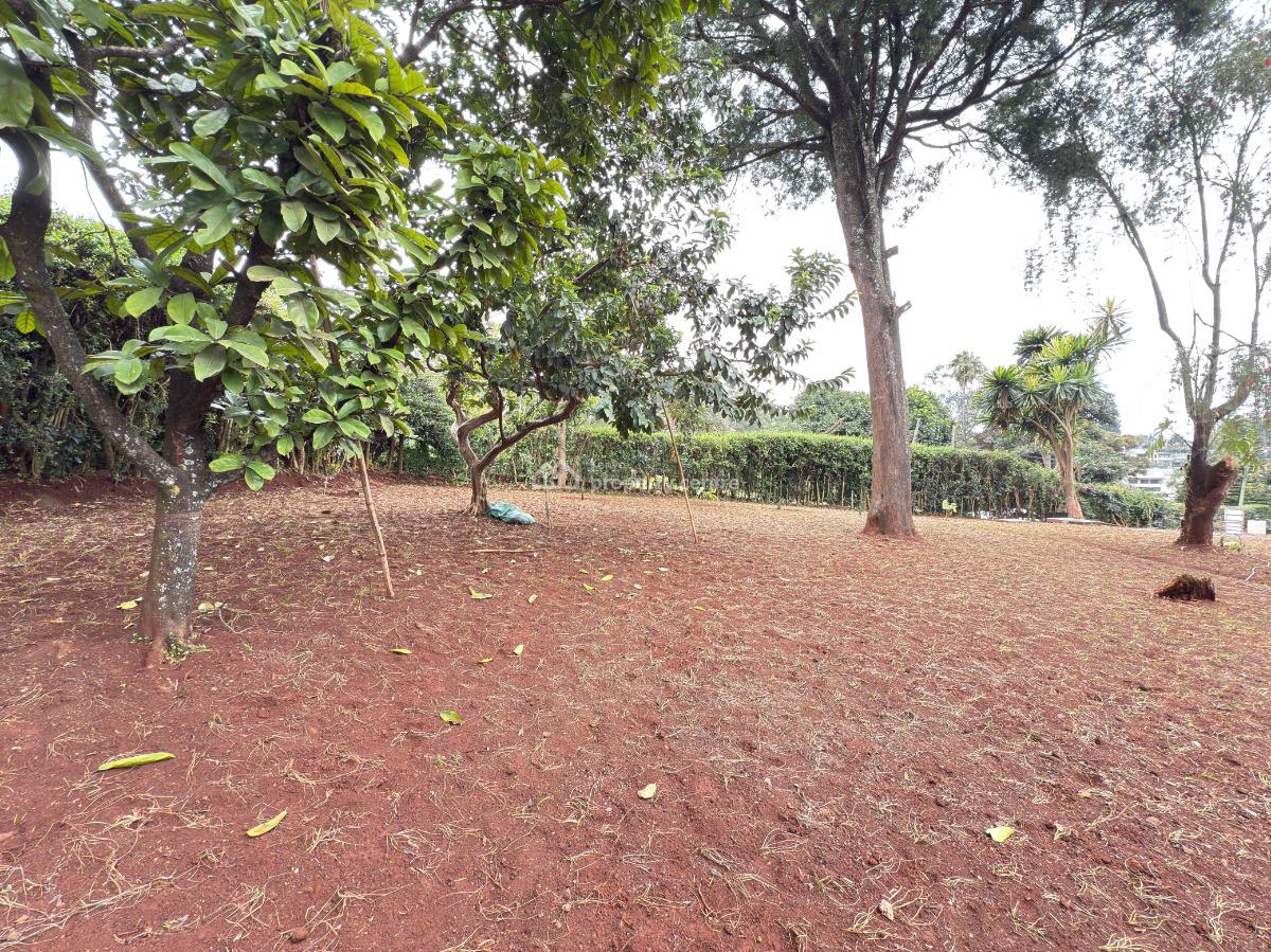 Charming 4 Bedroom Bungalow Plus Dsq for 3, Loresho, Loresho, Westlands, Nairobi, Terraced Bungalow for Rent