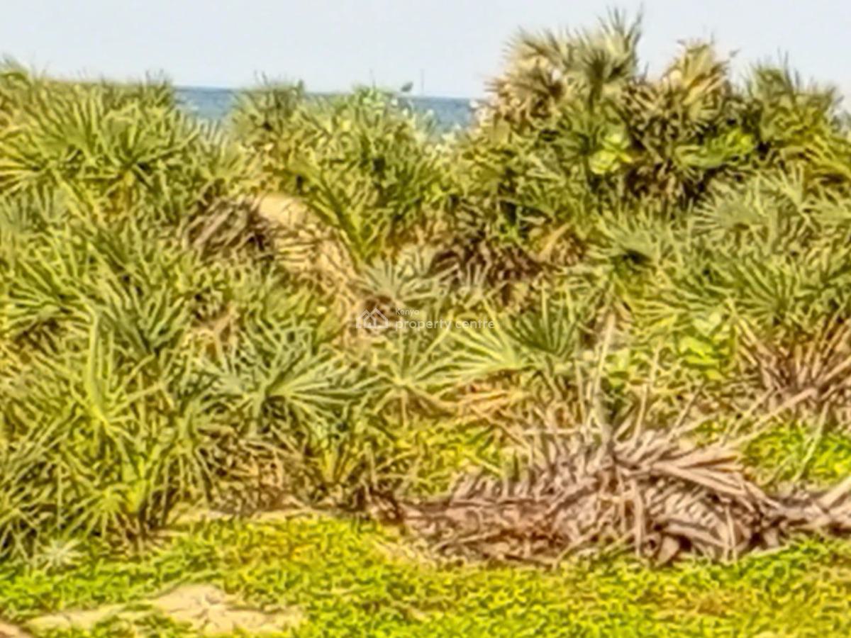 Prime Casino Beach Plots -- Malindi, Golden Beach, Beachfront Plots, Casino Beach Plots, Golden Beach, Beachfront Plots, Malindi Town, Kilifi, Land for Sale