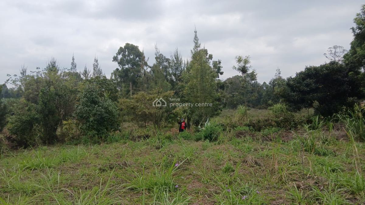 Ready to Build  Residential Plot, Mai-i-ihii, Kikuyu, Kiambu, Land for Sale