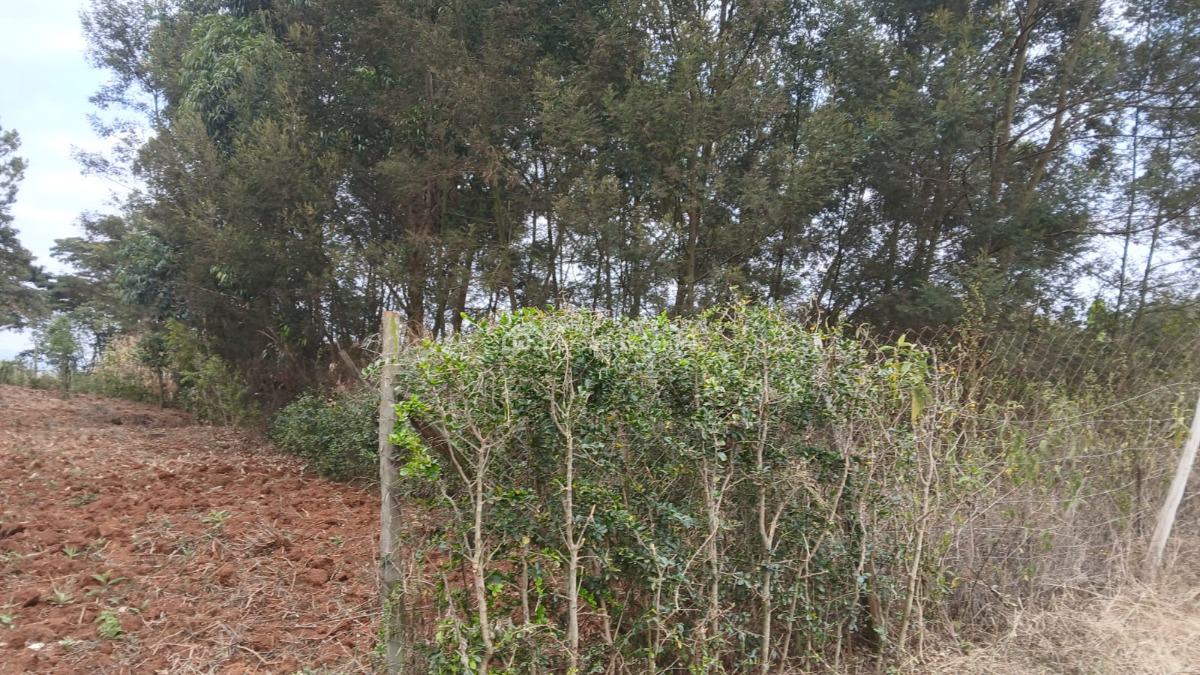Ready to Build  Residential Plot, Mai-i-ihii, Kikuyu, Kiambu, Land for Sale