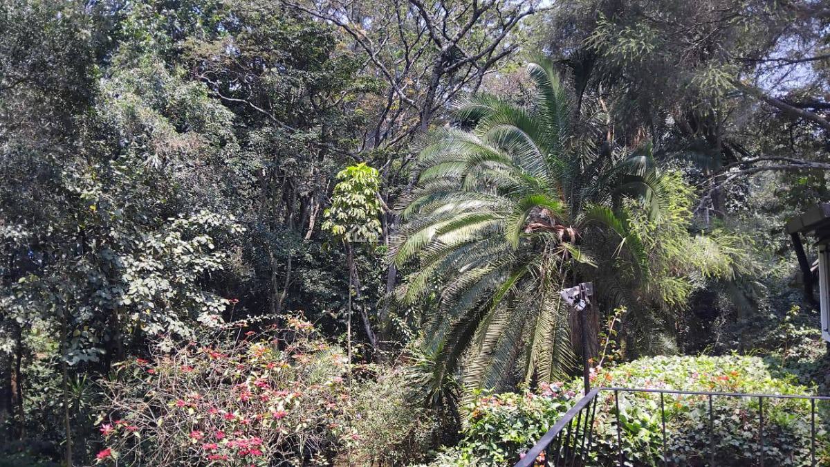4 Bedroom House in Old Muthaiga, Muthaiga, Old Muthaiga, Muthaiga, Nairobi, House for Rent