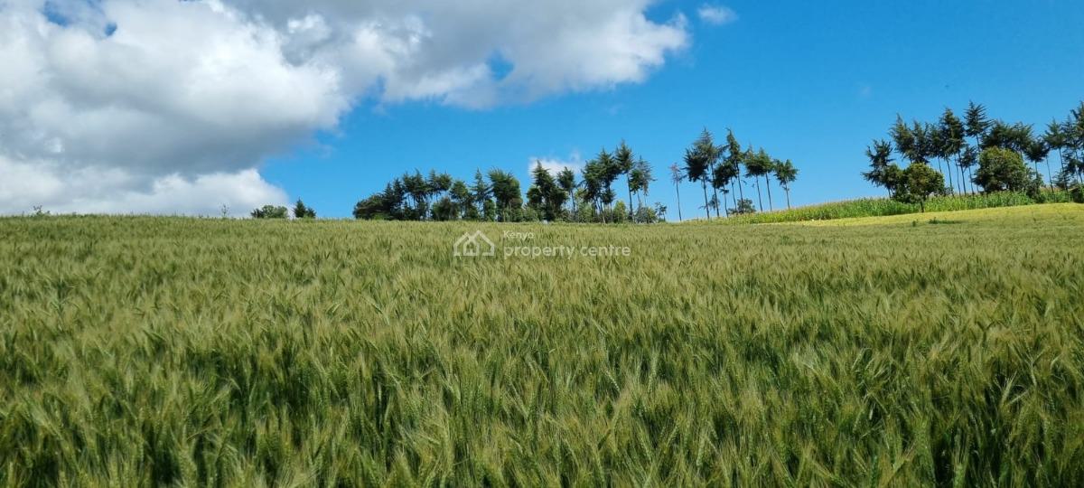 Farmland in Nyahururu, Muthengera, Gachuba, Nyandarua, Mixed-use Land for Sale