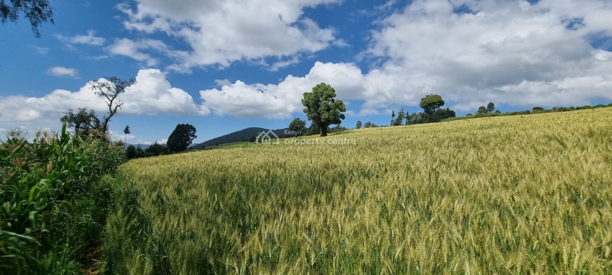 Farmland in Nyahururu, Muthengera, Gachuba, Nyandarua, Mixed-use Land for Sale