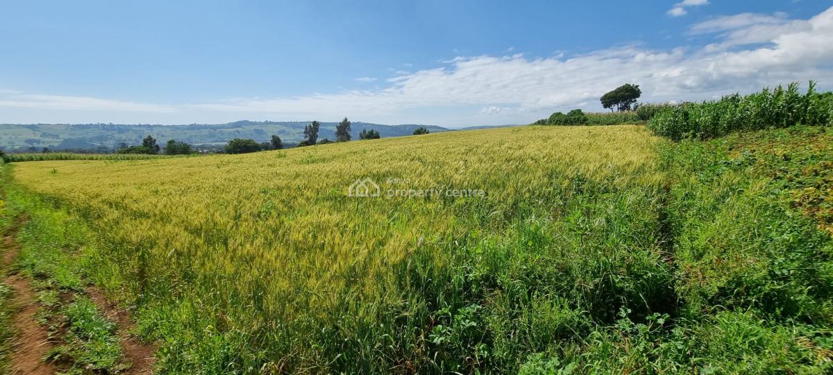 Farmland in Nyahururu, Muthengera, Gachuba, Nyandarua, Mixed-use Land for Sale