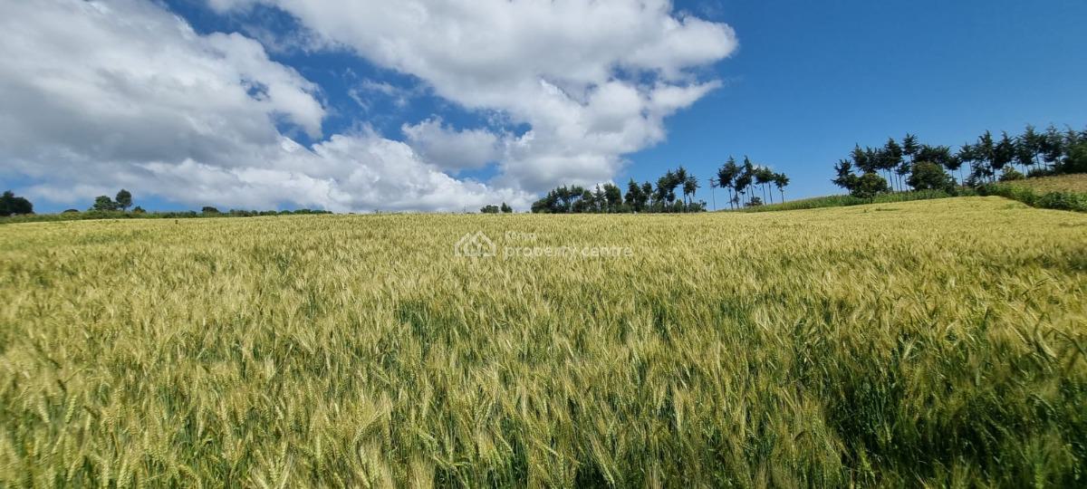 Farmland in Nyahururu, Muthengera, Gachuba, Nyandarua, Mixed-use Land for Sale
