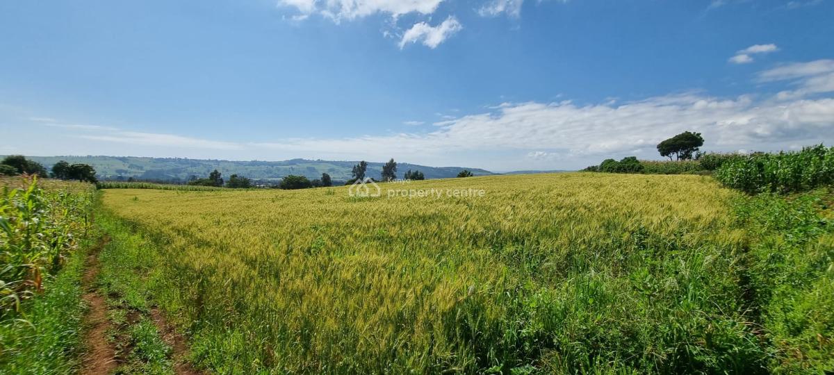 Farmland in Nyahururu, Muthengera, Gachuba, Nyandarua, Mixed-use Land for Sale
