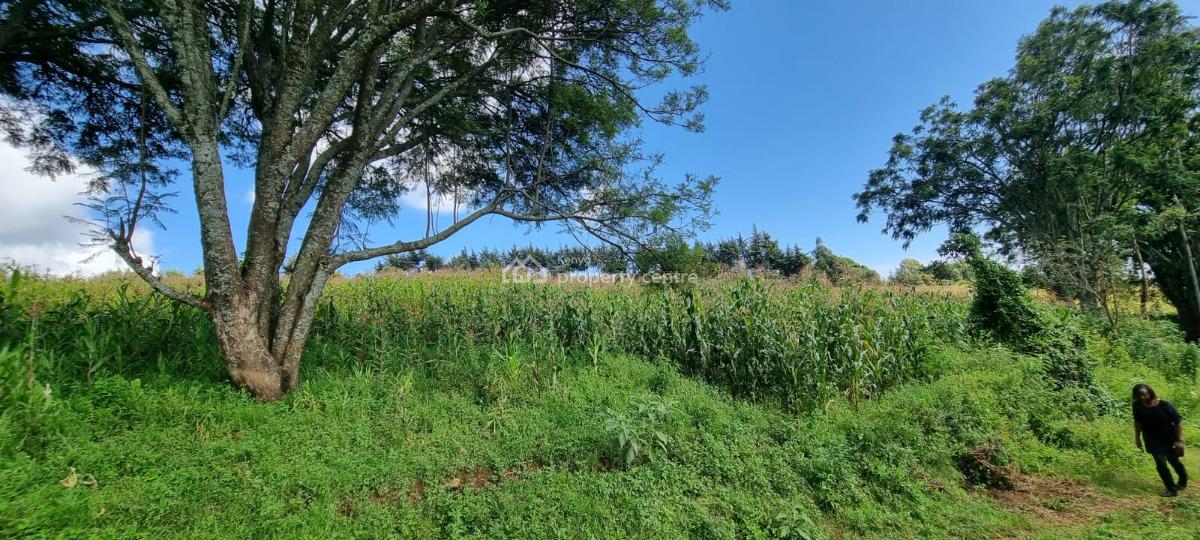 Farmland in Nyahururu, Muthengera, Gachuba, Nyandarua, Mixed-use Land for Sale