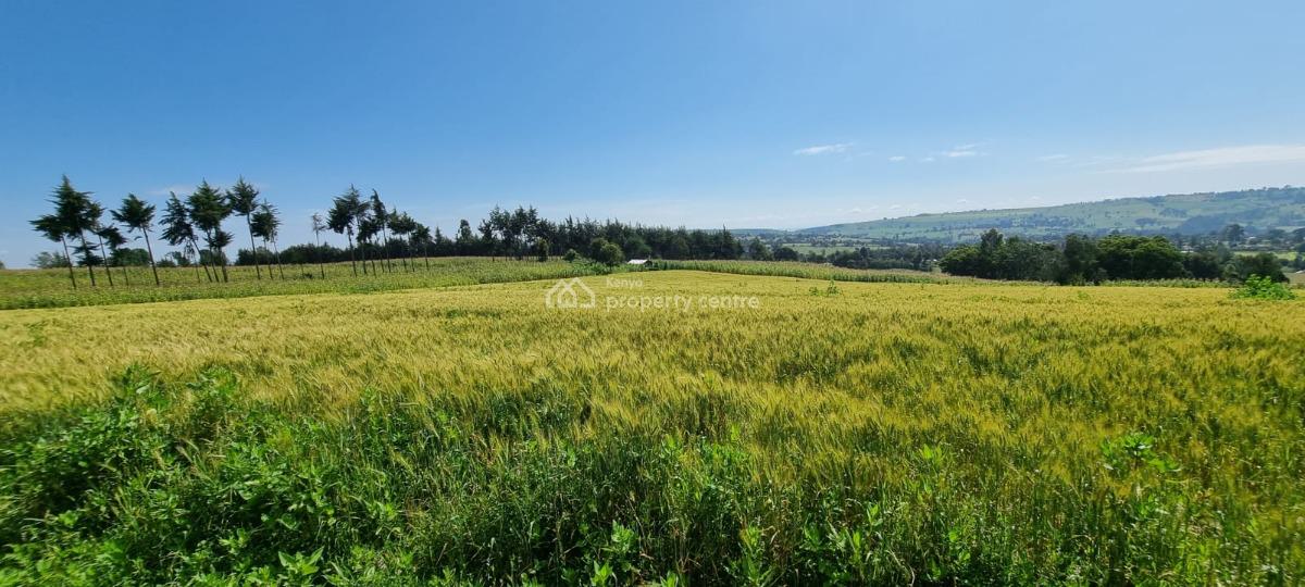 Farmland in Nyahururu, Muthengera, Gachuba, Nyandarua, Mixed-use Land for Sale