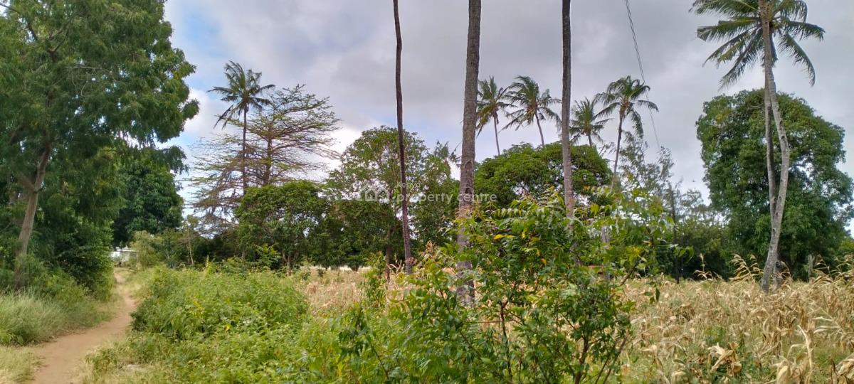 Prime 2.15 Acres in Gede with Mombasa Road Frontage -- ½ Acre  5m, Mombasa Rd Frontage, Watamu, Kilifi, Land for Sale