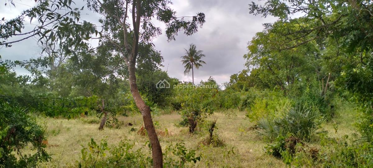 1 Acre Freehold --- Near Gede Ruins - Malindi / Kilifi (ksh 3.5m), Near Gede Ruins, Watamu, Kilifi, Land for Sale