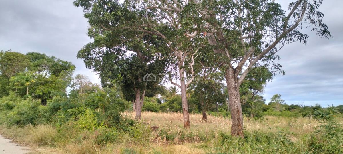 1 Acre Freehold --- Near Gede Ruins - Malindi / Kilifi (ksh 3.5m), Near Gede Ruins, Watamu, Kilifi, Land for Sale