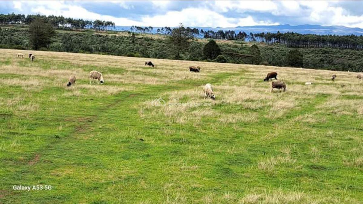 Agricultural Land Olkalou, Olkalou Gilgil Road, Esise, Nyandarua, Commercial Land for Sale