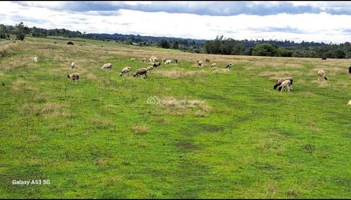 Agricultural Land Olkalou, Olkalou Gilgil Road, Esise, Nyandarua, Commercial Land for Sale