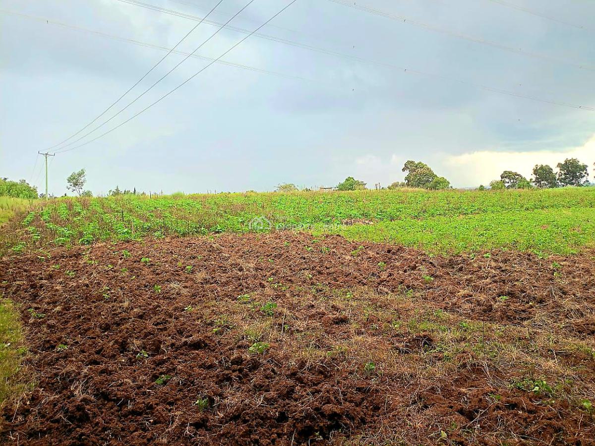 Murungaru 44 Acres, Nyandarua, North Kinangop, Nyandarua, Commercial Land for Sale