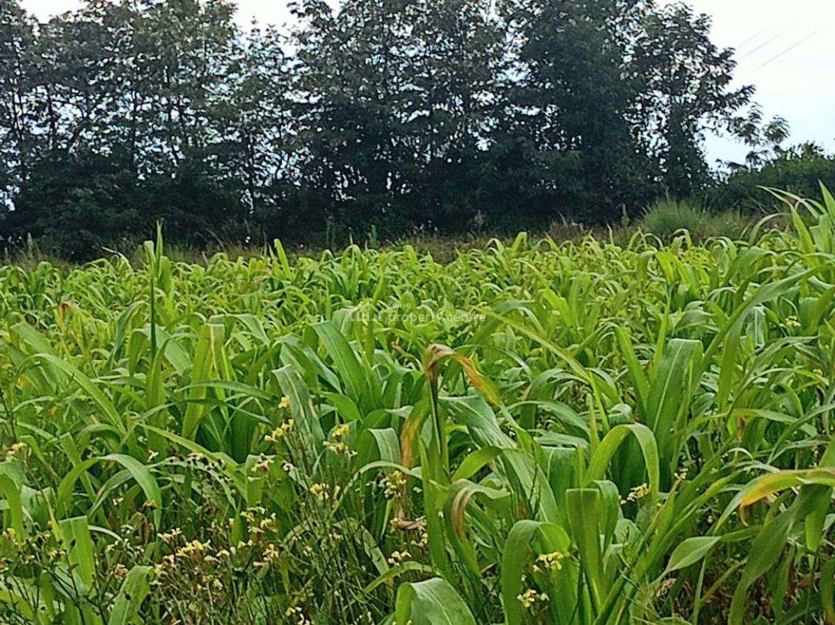 Murungaru 44 Acres, Nyandarua, North Kinangop, Nyandarua, Commercial Land for Sale