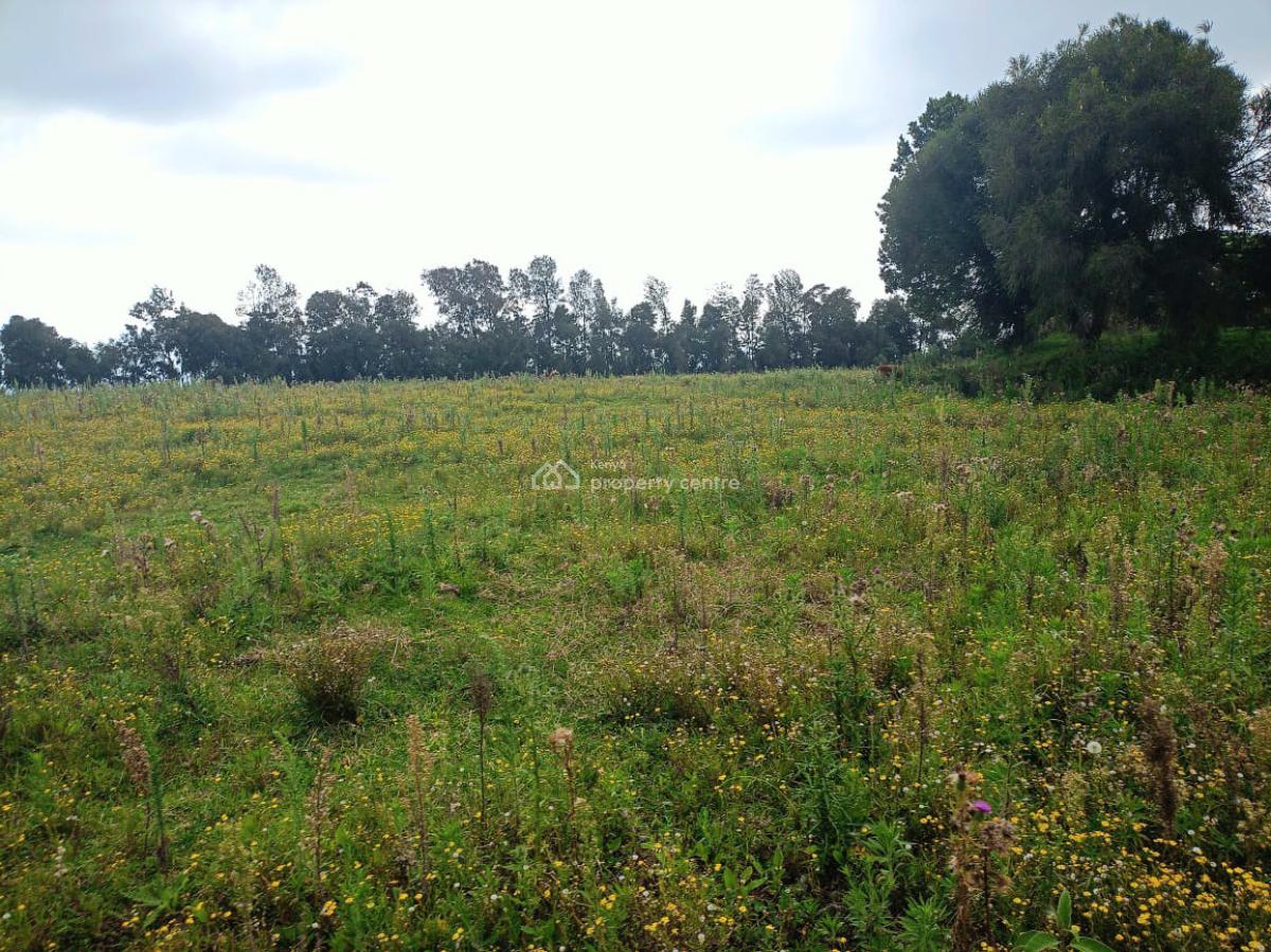 Murungaru 44 Acres, Nyandarua, North Kinangop, Nyandarua, Commercial Land for Sale
