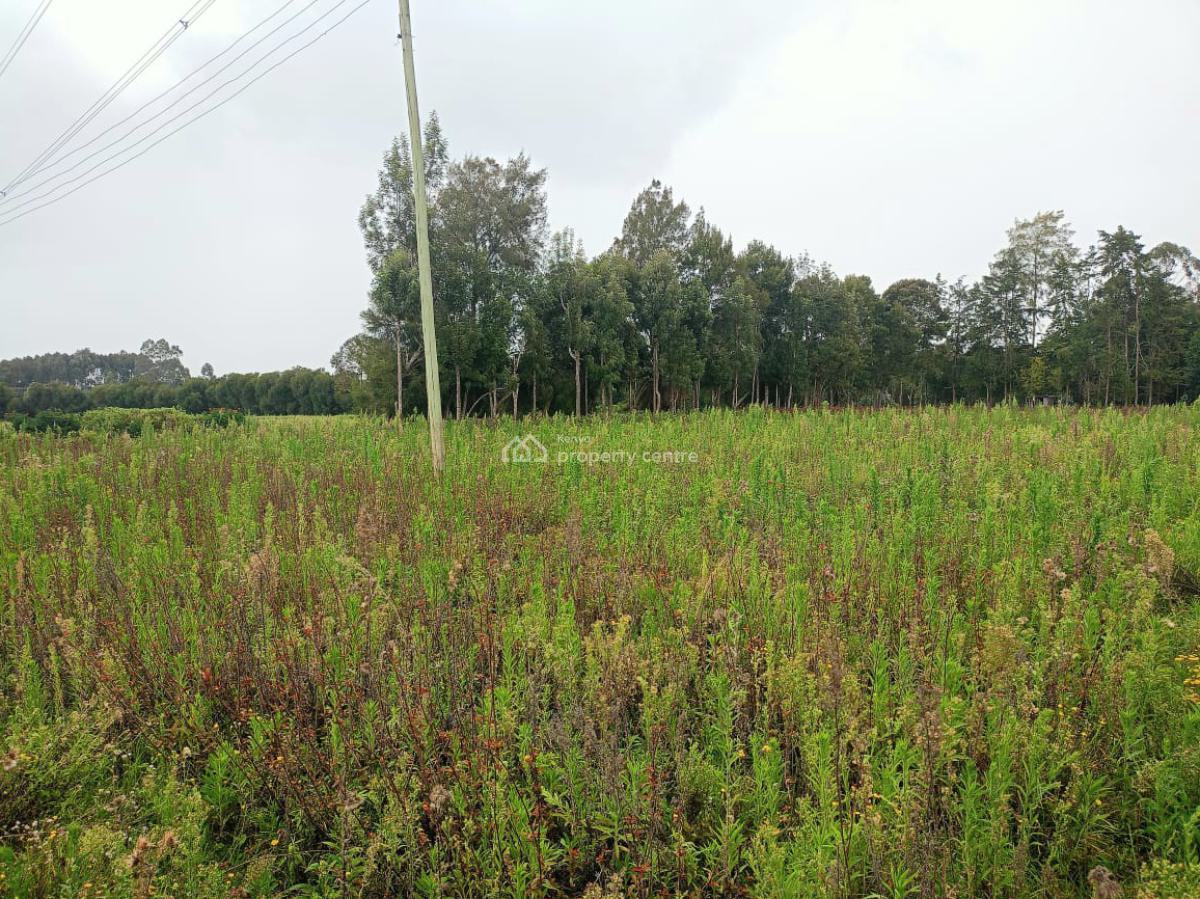 Murungaru 44 Acres, Nyandarua, North Kinangop, Nyandarua, Commercial Land for Sale
