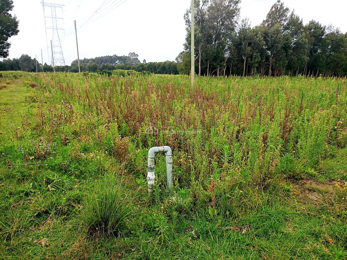 Murungaru 44 Acres, Nyandarua, North Kinangop, Nyandarua, Commercial Land for Sale