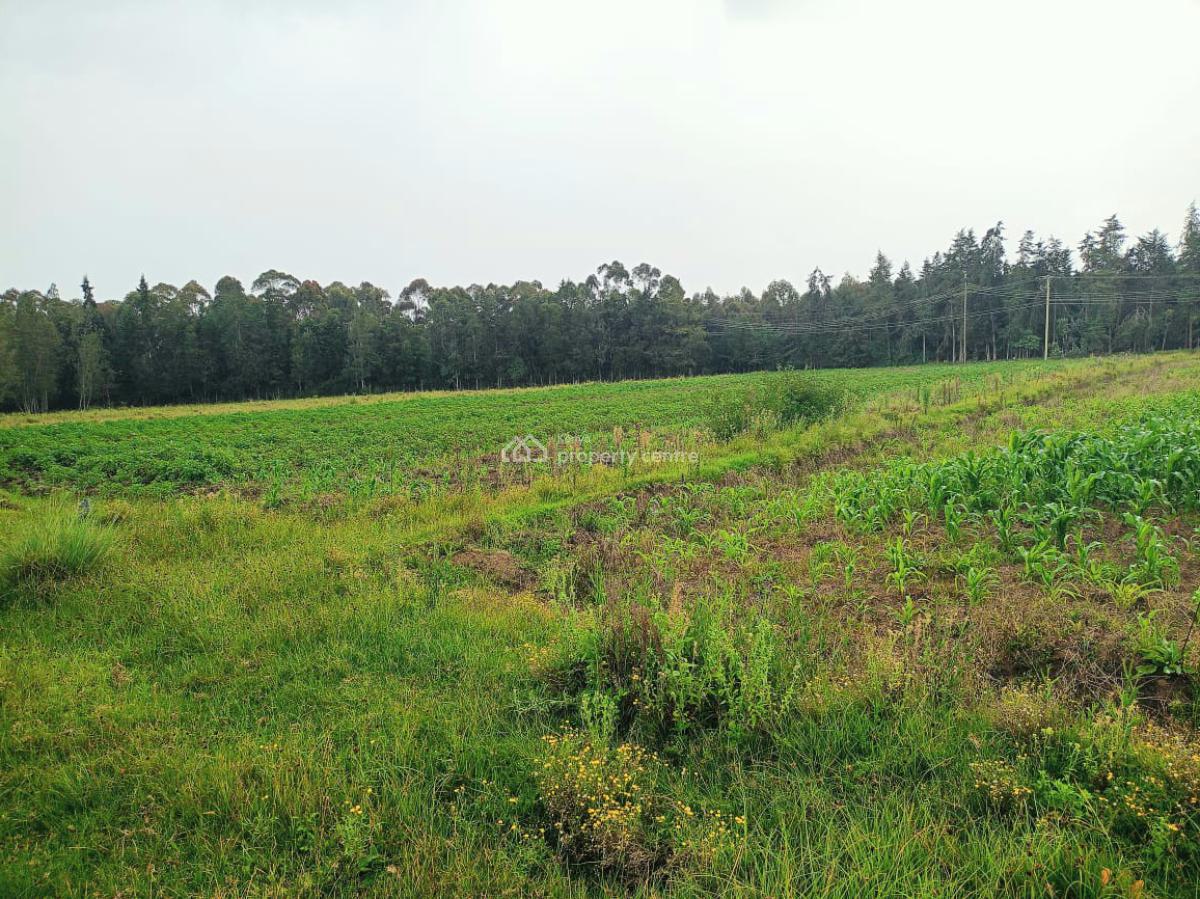 Murungaru 44 Acres, Nyandarua, North Kinangop, Nyandarua, Commercial Land for Sale