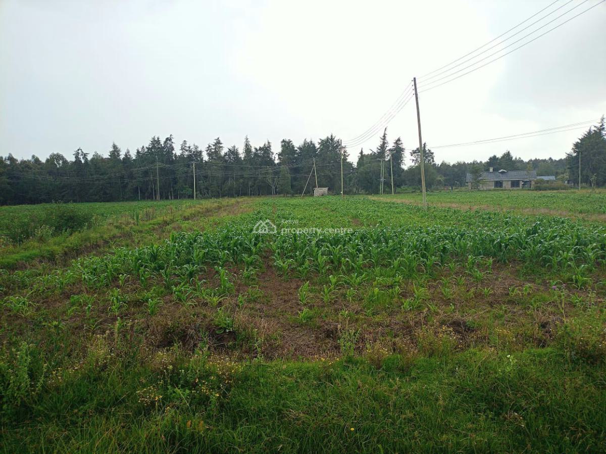 Murungaru 44 Acres, Nyandarua, North Kinangop, Nyandarua, Commercial Land for Sale