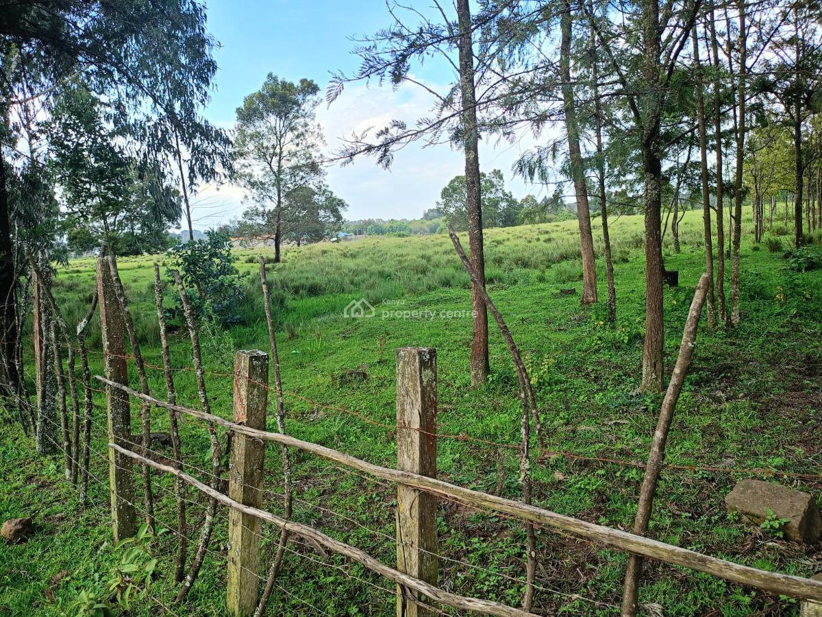 Murungaru 44 Acres, Nyandarua, North Kinangop, Nyandarua, Commercial Land for Sale
