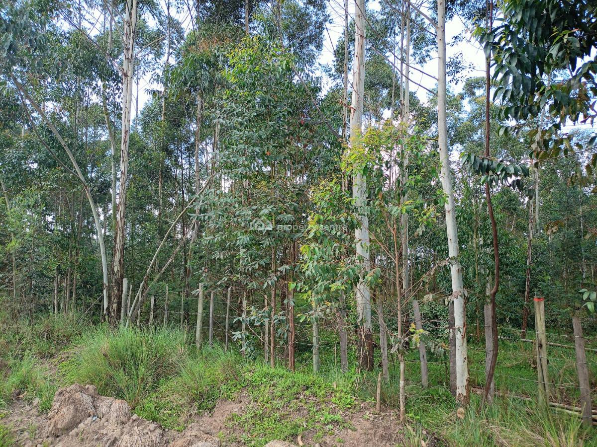 Murungaru 44 Acres, Nyandarua, North Kinangop, Nyandarua, Commercial Land for Sale