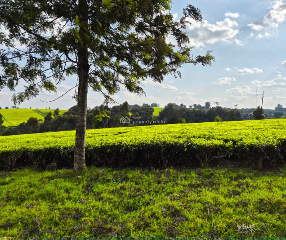 Prime Land  in Tigoni ,  Kiambu, Riara Ridge, Tigoni, Kiambu, Commercial Land for Sale