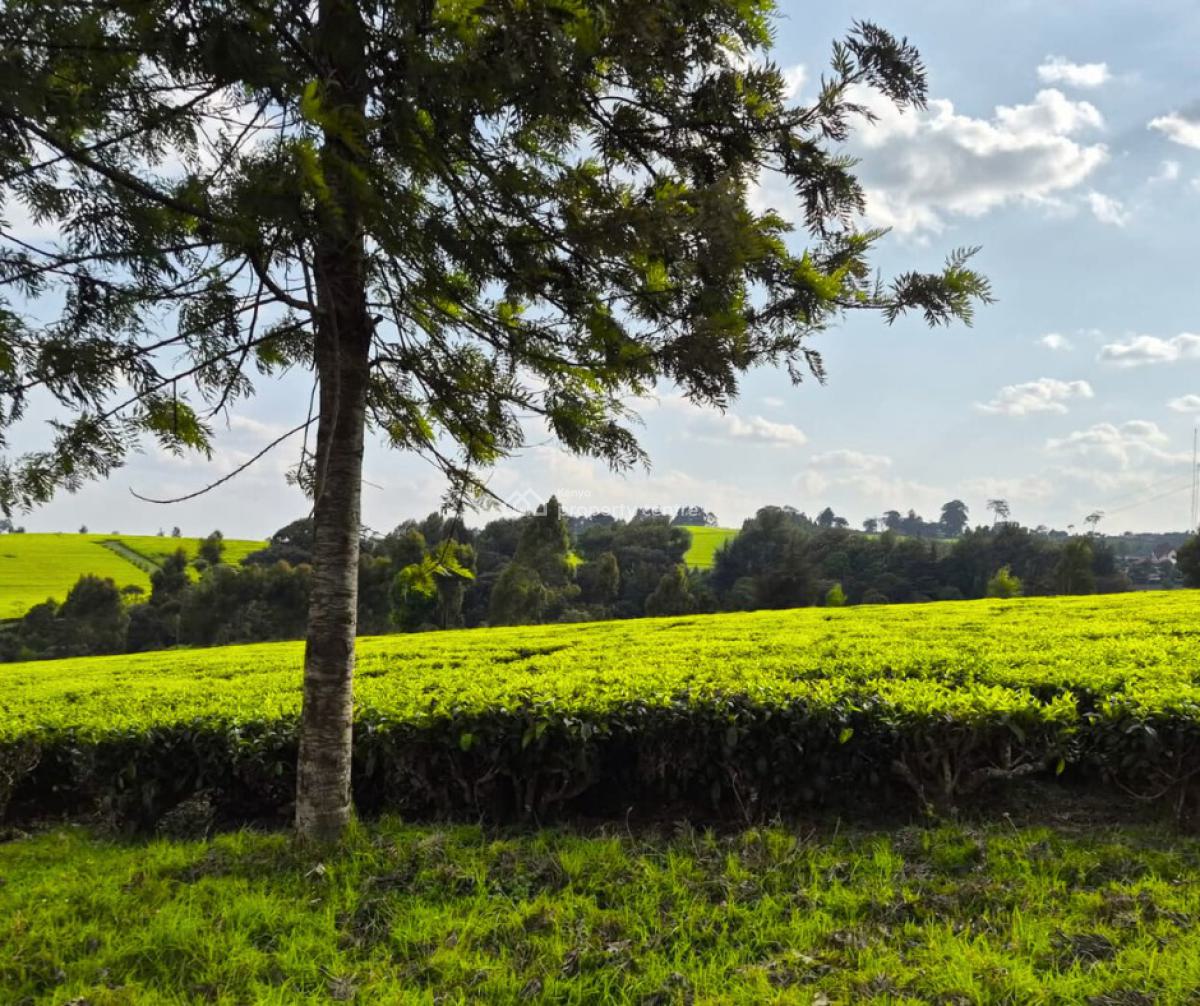 Prime Land  in Tigoni ,  Kiambu, Riara Ridge, Tigoni, Kiambu, Commercial Land for Sale