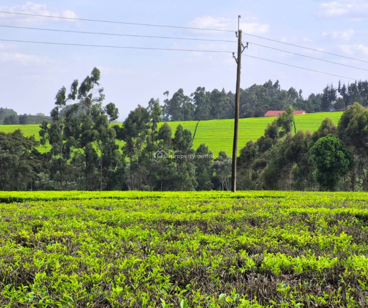 Prime Land  in Tigoni ,  Kiambu, Riara Ridge, Tigoni, Kiambu, Commercial Land for Sale