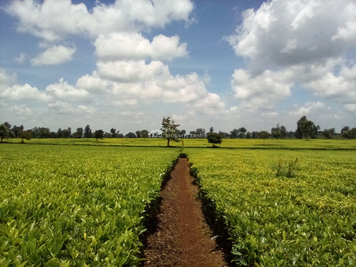 400 Acres of a Tea Farm, Off Kiambu Rd, Cianda, Kiambu, Land for Sale
