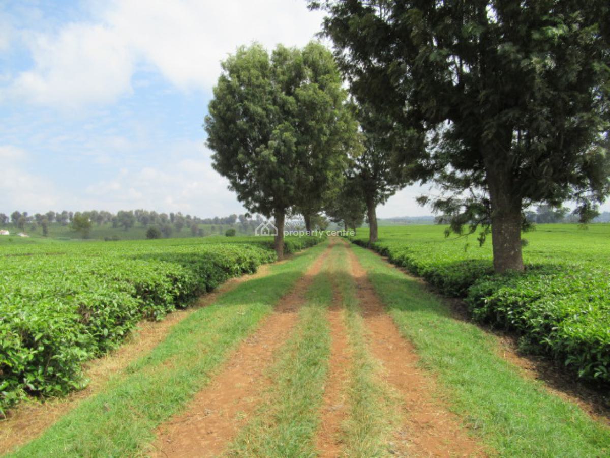 400 Acres of a Tea Farm, Off Kiambu Rd, Cianda, Kiambu, Land for Sale