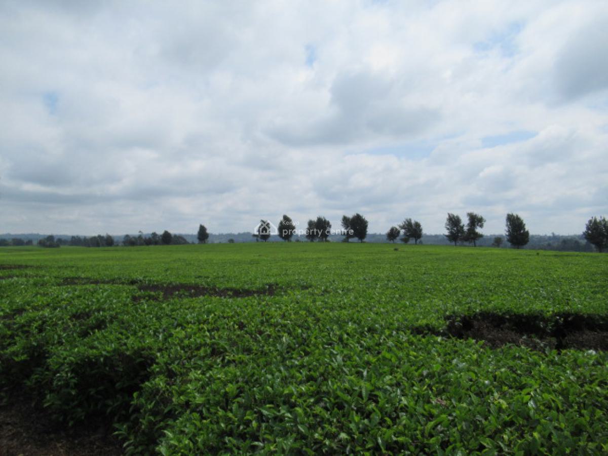 400 Acres of a Tea Farm, Off Kiambu Rd, Cianda, Kiambu, Land for Sale